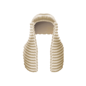 Barrister's wig